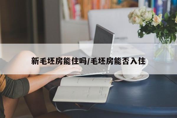 新毛坯房能住吗/毛坯房能否入住