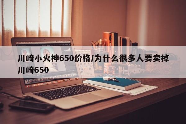 川崎小火神650价格/为什么很多人要卖掉川崎650