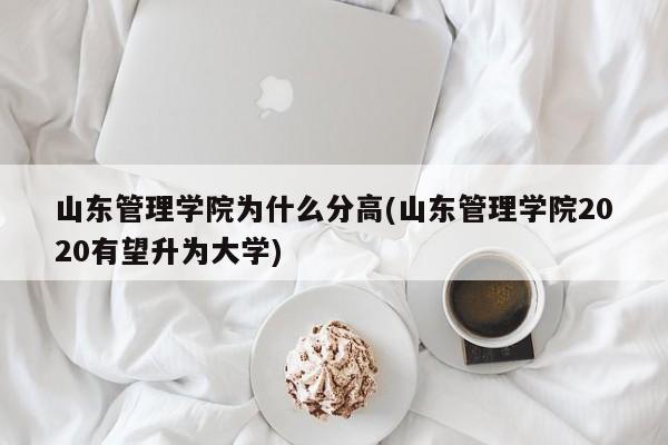 山东管理学院为什么分高(山东管理学院2020有望升为大学)